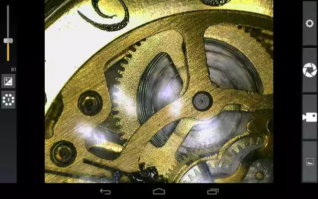 Play DinoDirect Lite