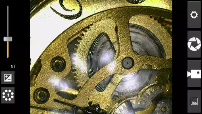 Play DinoDirect Lite