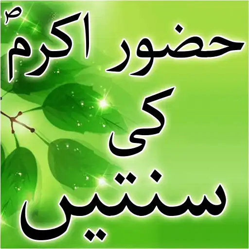 Free play online Din Or Raat Sunnat Kay Mutabiq APK