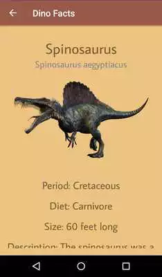 Play Dinosaur Facts Play Dinosaur Facts