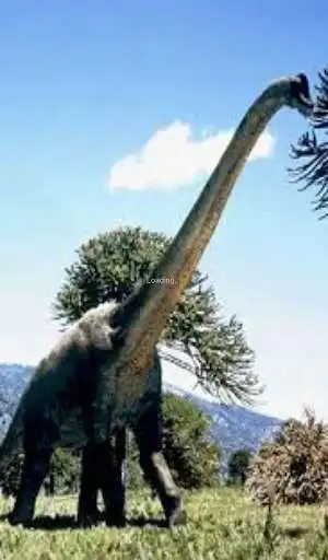 Play Dinosaur RingTones as an online game online Dinosaur RingTones with UptoPlay com.ht.dinosaurringtones Play Dinosaur RingTones as an online game Dinosaur RingTones with UptoPlay