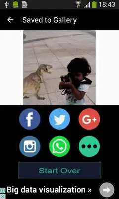 Play Dinosaur Sticker Photos Editor