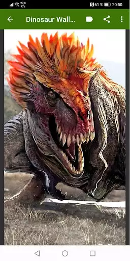 Play APK Dinosaurs Wallpapers  and enjoy Dinosaurs Wallpapers with UptoPlay ua.staffic.dinosaurs