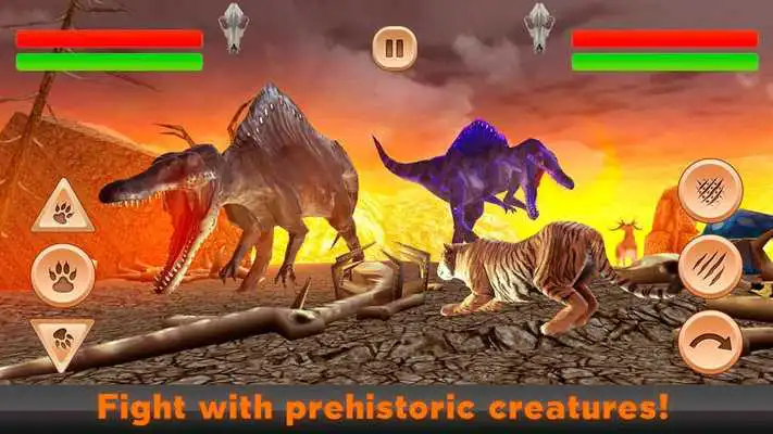 Play Dinosaur vs Tiger Kung Fu Fighting