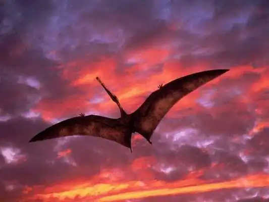 Play Dinosaur Wallpapers Play Dinosaur Wallpapers