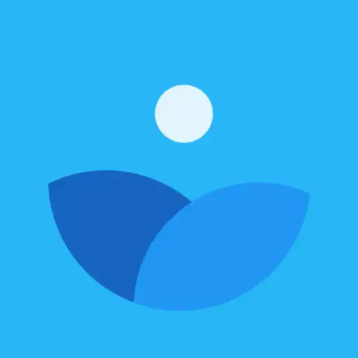 Play Dipit Gallery APK