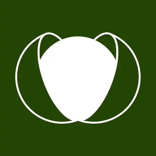 Play DirectBrico APK