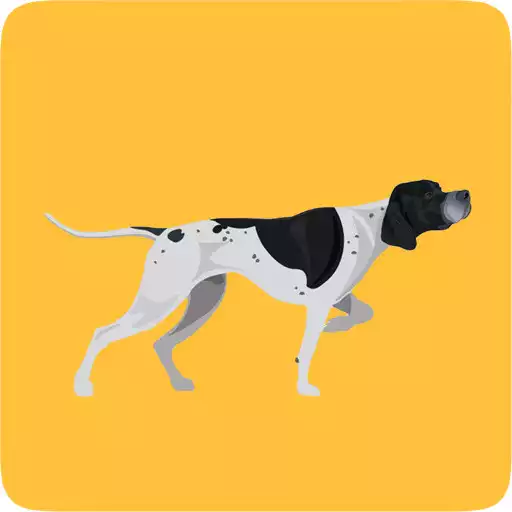 Play Directions APK