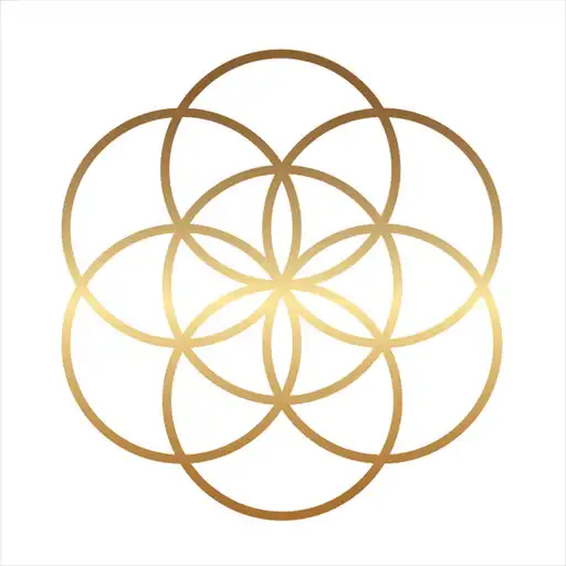 Play Director Doctors APK