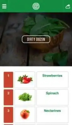 Play Dirty Dozen