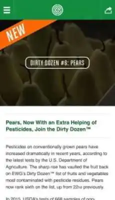 Play Dirty Dozen