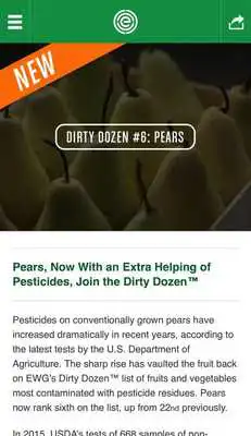 Play Dirty Dozen