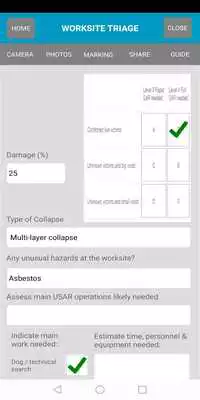 Play Disaster Surveyor