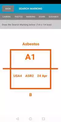 Play Disaster Surveyor