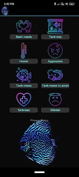 Play Discus fish care as an online game online Discus fish care with UptoPlay Play Discus fish care as an online game Discus fish care with UptoPlay