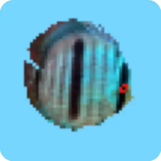 Play Discus World APK Play Discus World APK
