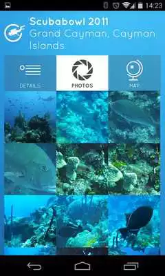 Play Diveboard