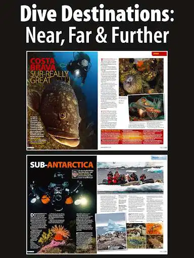 Play Diver Magazine
