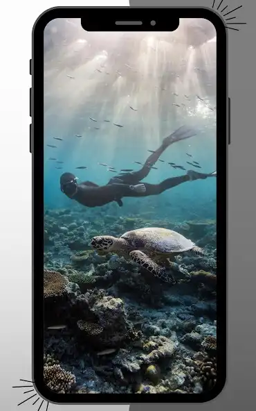 Play Diving Wallpapers as an online game Diving Wallpapers with UptoPlay