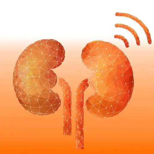 Play DiyalizOnline APK