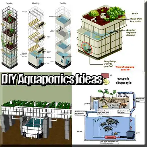 Play APK DIY Aquaponics Ideas  and enjoy DIY Aquaponics Ideas with UptoPlay com.DIYAquaponicsIdeas.bbsdroid