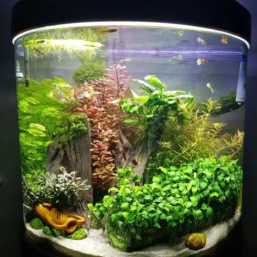 Play DIY Aquarium Design 5000+ APK Play DIY Aquarium Design 5000+ APK