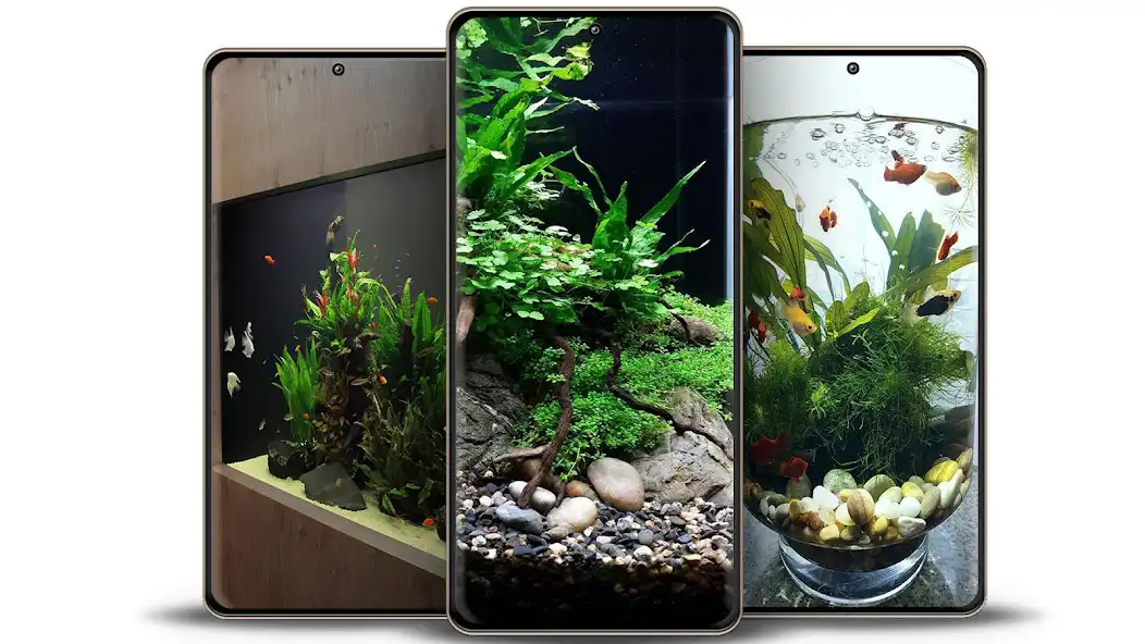 Play DIY Aquarium Design 5000+  and enjoy DIY Aquarium Design 5000+ with UptoPlay