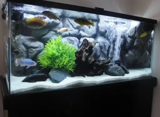 Play DIY Aquarium Design as an online game DIY Aquarium Design with UptoPlay