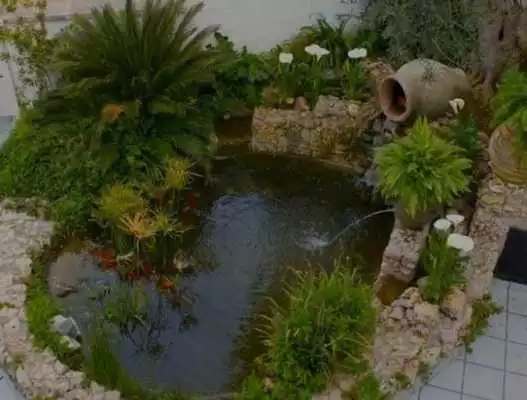 Play DIY Best Pond Design