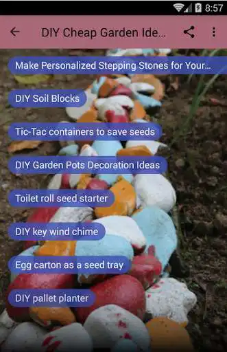 Play DIY cheap Garden Ideas as an online game DIY cheap Garden Ideas with UptoPlay