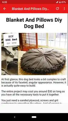 Play DIY Dog Bed