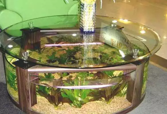 Play DIY Fish Tank as an online game DIY Fish Tank with UptoPlay