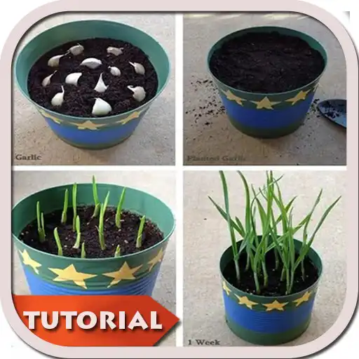 Play DIY Gardening Planting APK Play DIY Gardening Planting APK