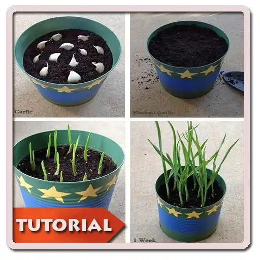 Play DIY Gardening Planting  and enjoy DIY Gardening Planting with UptoPlay