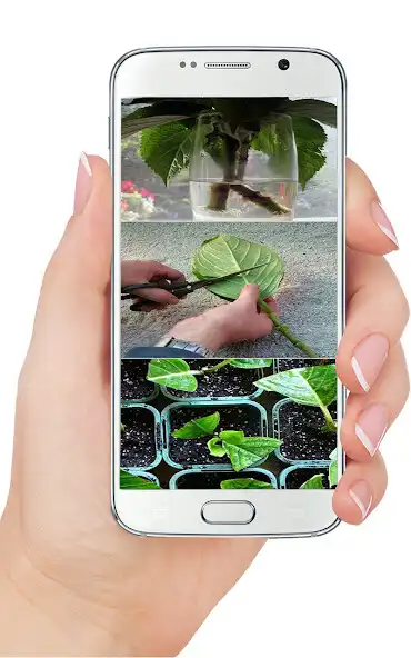 Play DIY Gardening Planting as an online game DIY Gardening Planting with UptoPlay