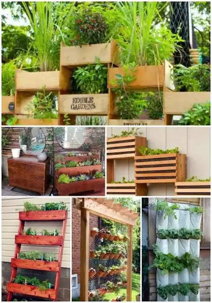 Play Diy Garden as an online game Diy Garden with UptoPlay