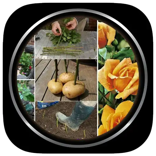 Play DIY Grafting Plants Step By Step APK Play DIY Grafting Plants Step By Step APK