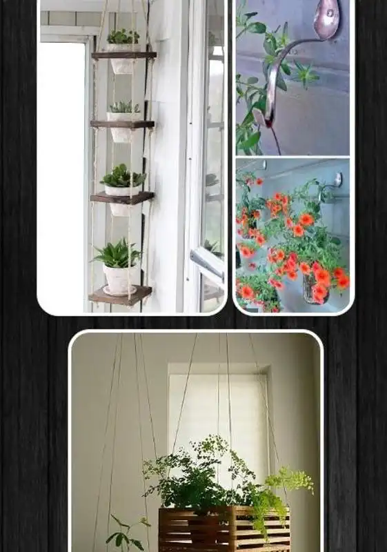 Play diy hanging plant