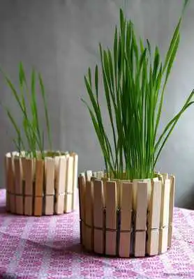 Play Diy Plant Decoration Ideas Play Diy Plant Decoration Ideas