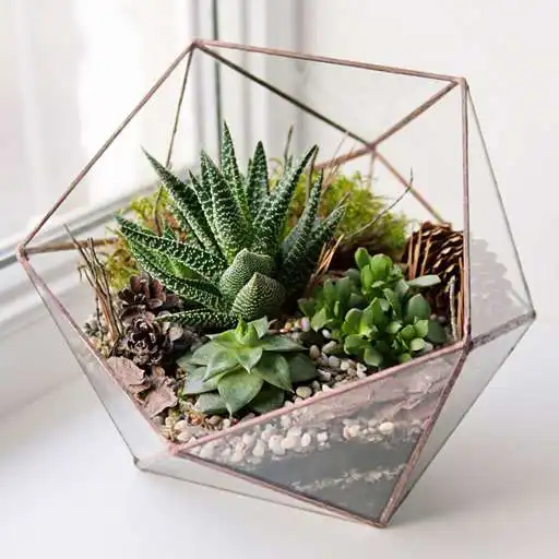 Play DIY Terrarium Design APK