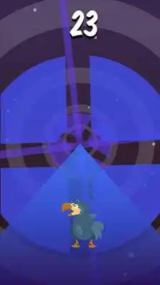 Play Dizzy Dodo Play Dizzy Dodo