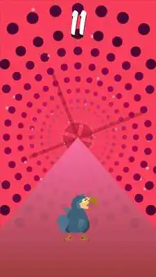 Play Dizzy Dodo Play Dizzy Dodo