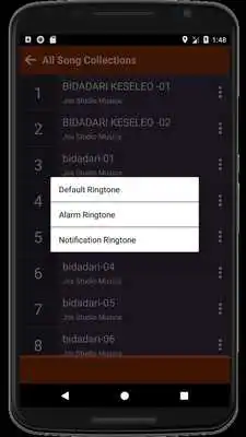 Play DJ Bidadari Kesleo Mp3 Offline Remix