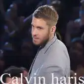 Free play online Dj Calvin Harriss song APK