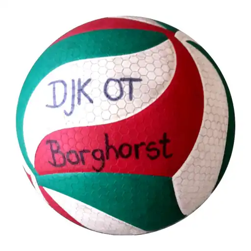Play DJK OT Borghorst Vereinsapp APK