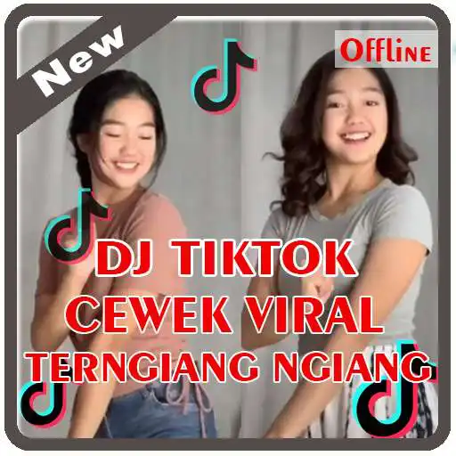 Play DJ Tik Tok Terngiang Ngiang Viral Offline APK
