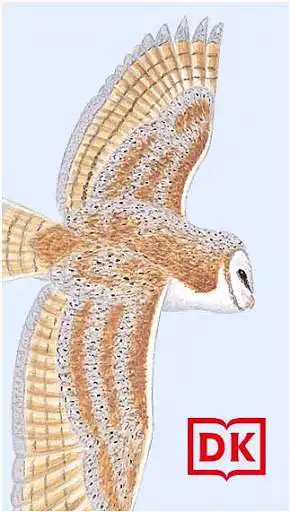 Play DK AMNH Bird Sounds  and enjoy DK AMNH Bird Sounds with UptoPlay