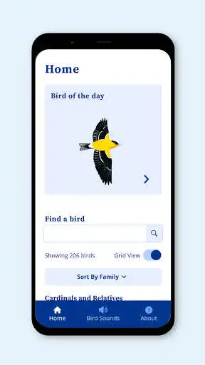 Play DK AMNH Bird Sounds as an online game DK AMNH Bird Sounds with UptoPlay