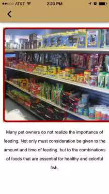 Play DK Tropical Fish