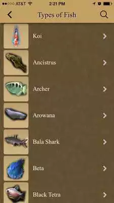 Play DK Tropical Fish